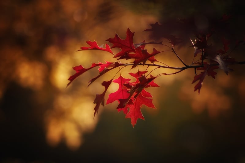 Positive habits for personal growth